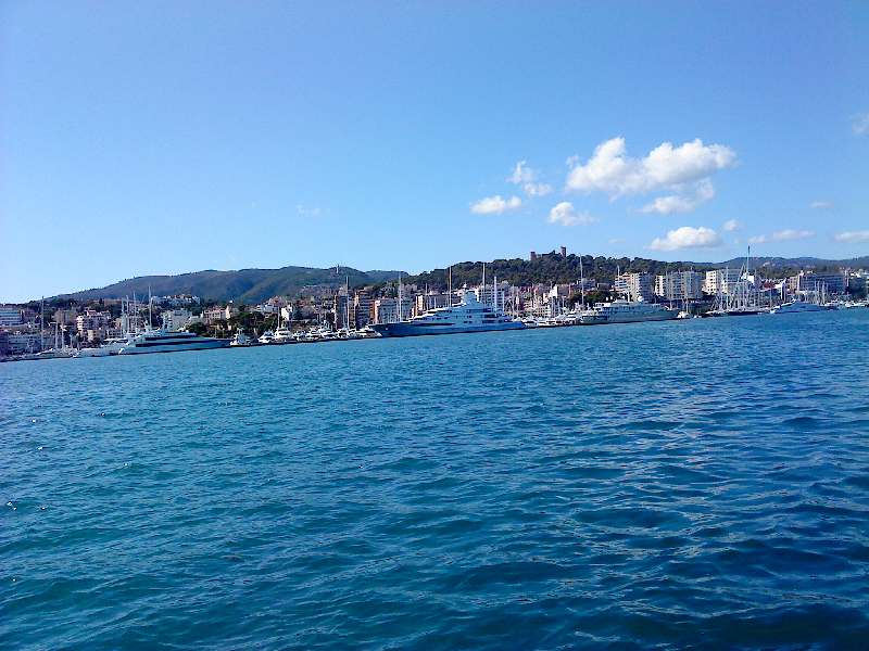 dsc00398.jpg