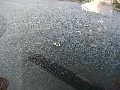 p8290055.jpg
