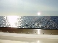 p8300099.jpg