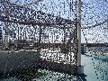 p9010022.jpg