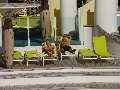 p9010028.jpg