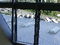 p9020058.jpg