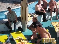 aida_2008_169.jpg