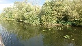 img-20170911-wa0005.jpg